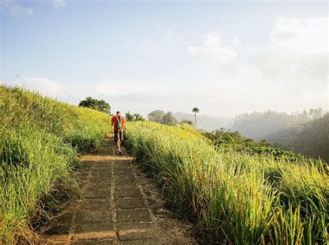 13 Hiking Trails in Bali with Its Magnificent Scenery | Flokq