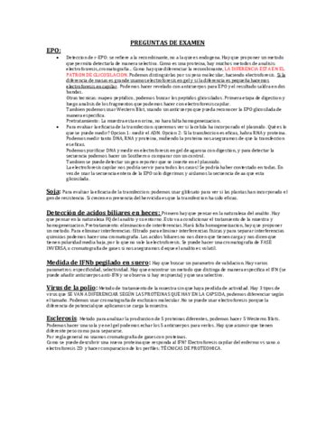 Preguntas De Examen Pdf