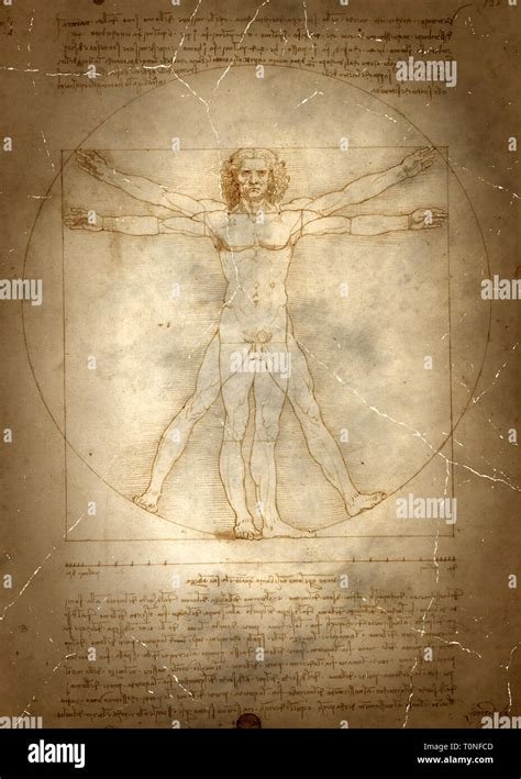 leonardo da vinci drawing high resolution stock photography  images
