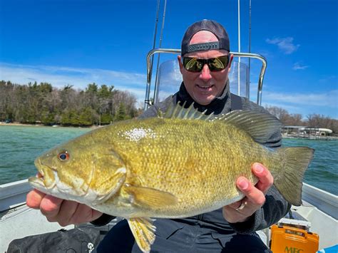 Smallmouth Bass Archives Northern Michigan Guide Service