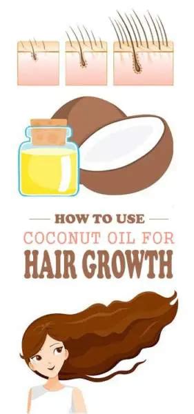 Best Coconut Oils For Hair In 2023 Atelier Yuwa Ciao Jp