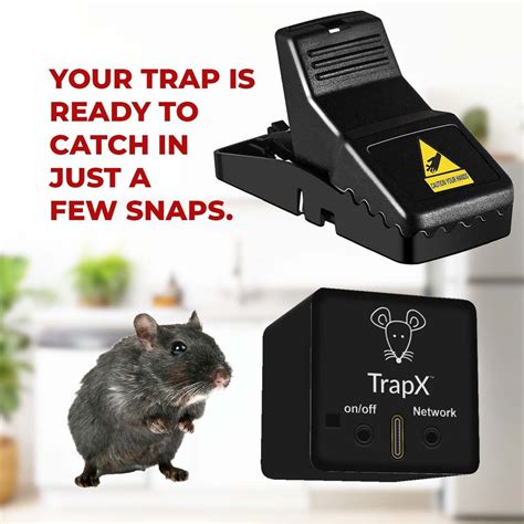 The Ultimate Guide To Live Mouse Traps Catching Mice Humanely Trapx