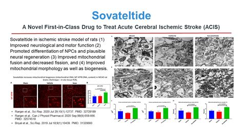 Cerebral Ischemic Stroke Lyfaquin Pharmazz Inc