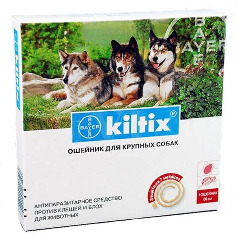 BAYER Kiltix - антипаразитарный ошейник ⋆ Zoomarket.md
