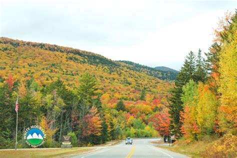 Fall Foliage in the White Mountains