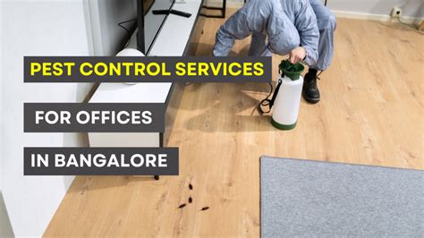 Expert Pest Control Services For Offices In Bangalore