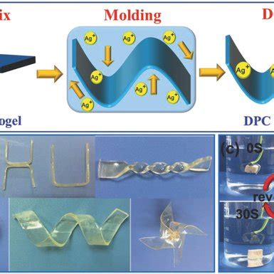 A Illustration For The Preparation Of Moldable Hydrogel Device B