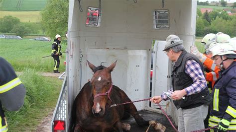 Fotos Feuerwehr Befreit Eingeklemmtes Pferd