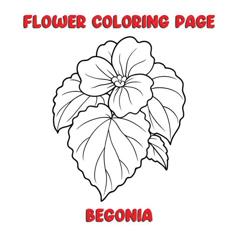 Premium Vector | BEGONIA flowers coloring book for kids