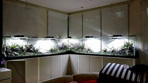 Timeline Photos Wabi Kusa Paludar Um Aquascaping Terrarium