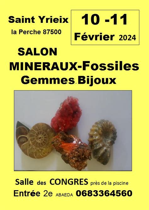 Salon Des Min Raux Gemmes Fossiles Et Bijoux