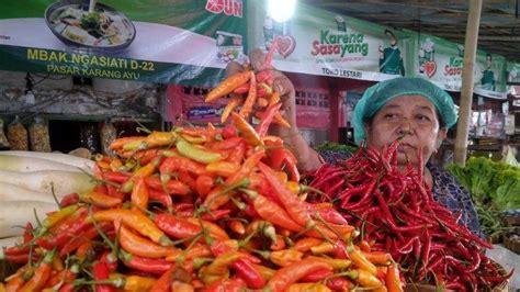 Harga Cabai Di Semarang Mulai Naik Teropong Merah Tembus Rp