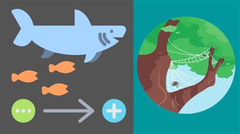 Commensalism Definition Types Example Biology Notes Online