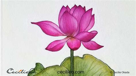 Bring Your Lotus Flower to Life with Watercolor: A Tutorial