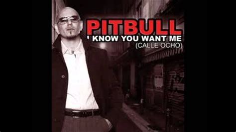 Pitbull I Know You Want Me Calle Ocho Remix DJ Zex 2012 YouTube