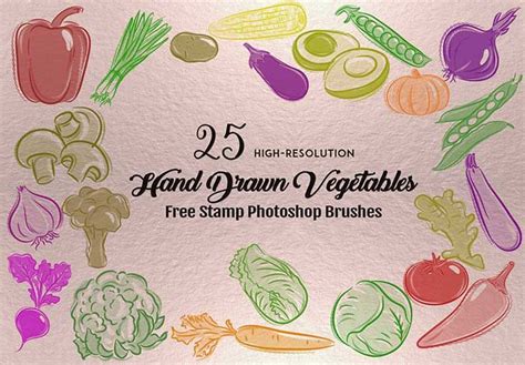 Hand Drawn Vegetables 25 High Resolution Photoshop Brushes