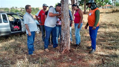 Sindicato E Senar Ministram Curso De Sangria De Seringueiras