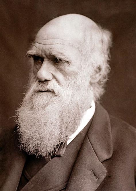 Charles Darwin Portrait Photograph By Science Photo Library