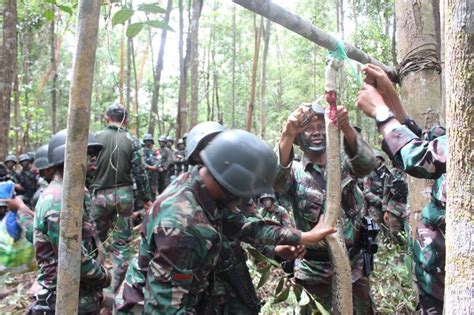 Yonif Raider Khusus 136 TS Gelar Latihan Pertempuran Hutan Jungle War