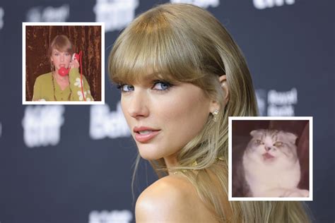 Taylor Swifts Cat Meredith Steals The Show In Vigilante S Newsweek