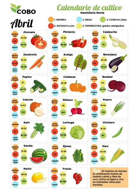 Calendario De Cultivo Abril Siembras Jardiner A De Hortalizas En