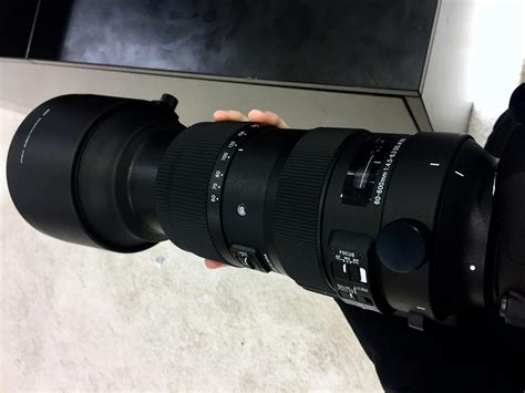 Første indtryk af Sigma 60-600mm: Et drømmeobjektiv for sports- og ...