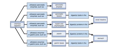 A And P Concept Map Map