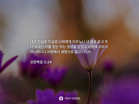 요한복음 524 Daily Bible Inspirations