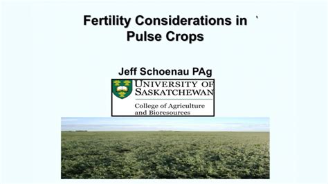 Pulse Agronomy Webinar Seed Treatments Saskatchewan Pulse Growers