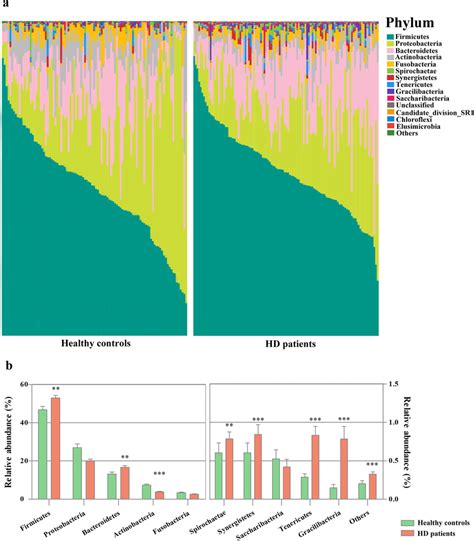 Taxonomic Classification Of The Salivary Microbiota At The Phylum