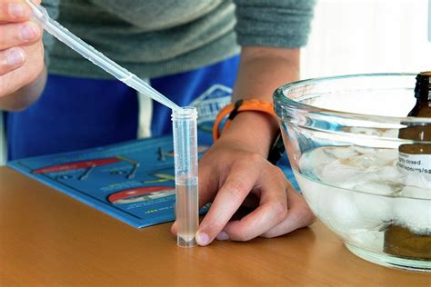 Dna Extraction Experiment Photograph by Lawrence Lawry - Fine Art America