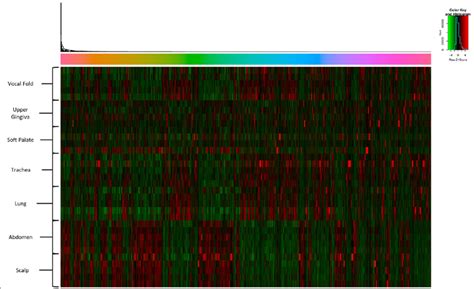 Transcriptomic Heatmap Exhibiting 6216 Genes Differentially Expressed