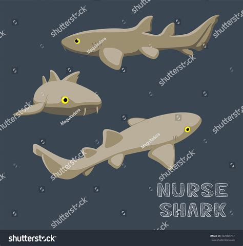 23 Nurse shark cartoon Images, Stock Photos & Vectors | Shutterstock