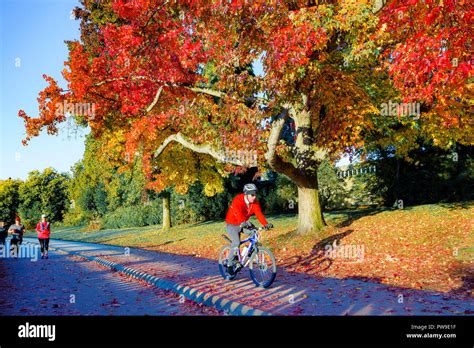 Stanley park seawall hi-res stock photography and images - Alamy