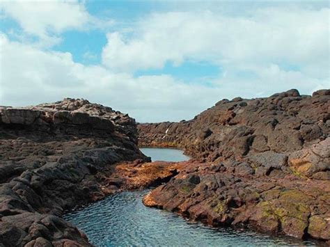 The Best Swimming Spots On Norfolk Island Laptrinhx News