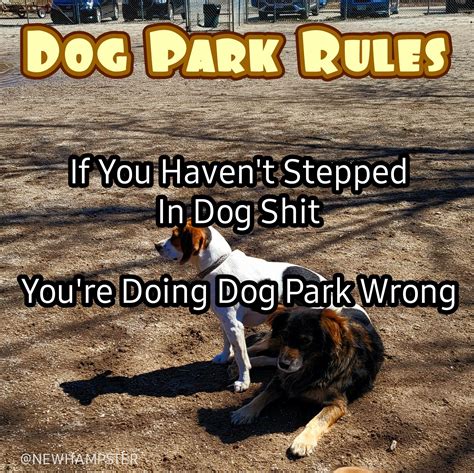 Dog Park Rules : r/DOG