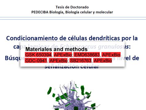 Apexbio Gsk Sgk Inhibitor Cas