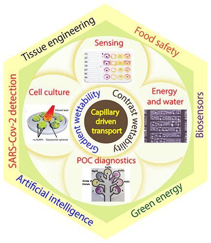 Chemical Reviews Vol 122 No 22 Acs Publications