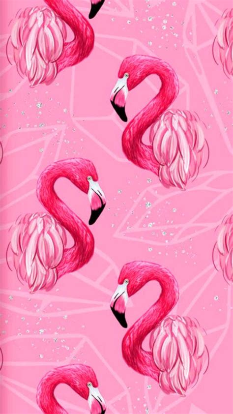 Pink Background Wallpaper Discover More Color Cute Pink Politeness