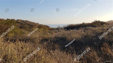 A Peek At The Ocean From The Bluffs Park Trail Of Malibu Bluffs Park In