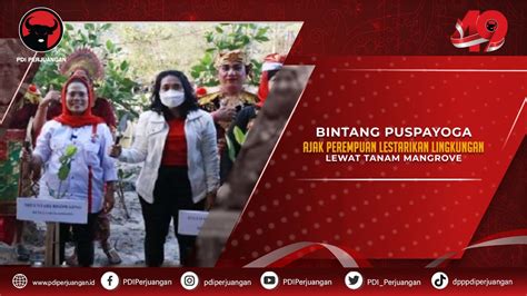 Menteri Pppa Ajak Perempuan Lestarikan Lingkungan Lewat Tanam Mangrove