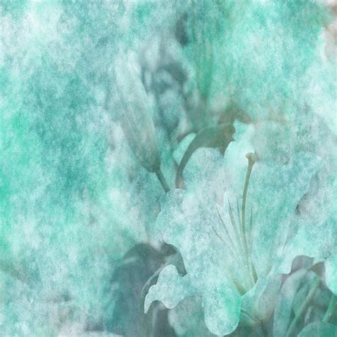 Fine Art Textures Photoshop Textures Flower Textures Floral Etsy