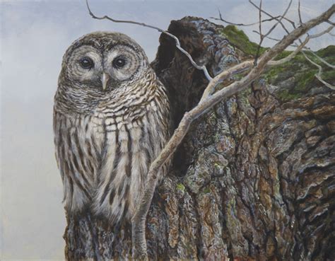 Home Wildlife Artist Laura Mark Finberg