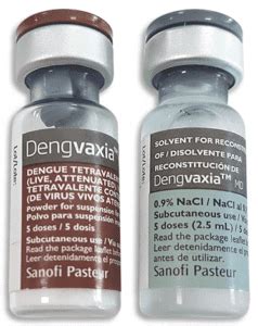 dengue virus