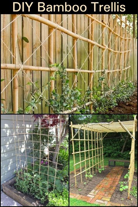 Wonderful Diy Bamboo Trellis Affordable 9 Step Guide Diy Garden