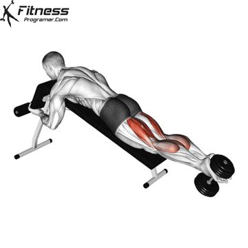 Decline Dumbbell Leg Curl » Workout Planner