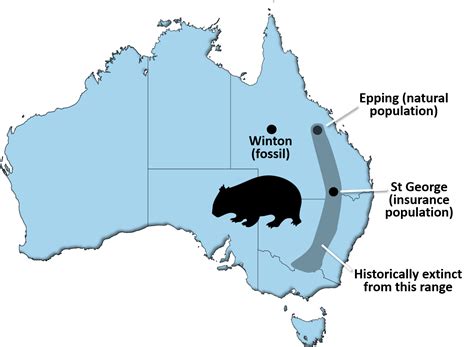 Palaeontology informing conservation: Northern Hairy-nosed Wombats ...