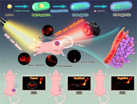 Schematic Illustration Of Nir Iib Nanoprobe Development For The