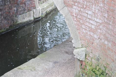 Canal To Morse Lock 30 Jan 11 456 Roger Bunting Flickr