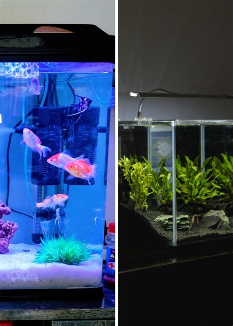 Dive Into Crystal Clear Waters With The Top 5 Aquarium Filters